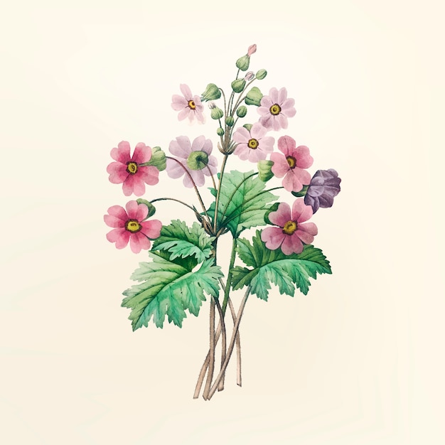 Ilustración de flor vintage