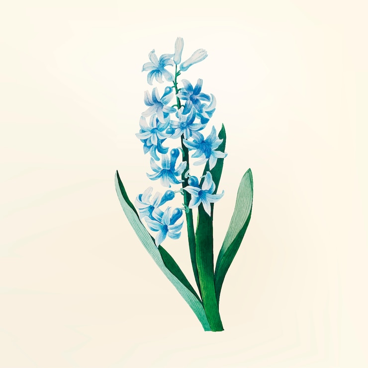 Vector gratuito ilustración de flores vintage