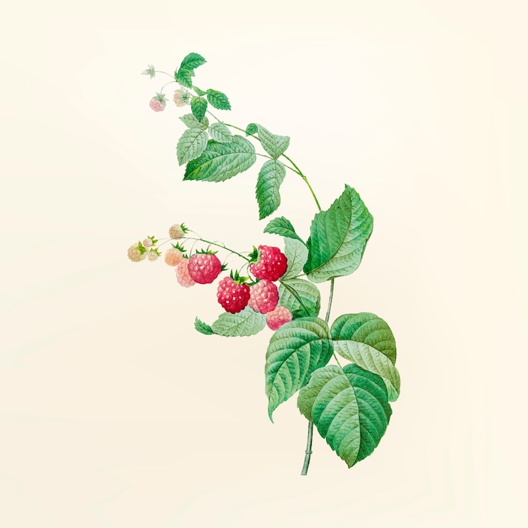 Vector gratuito ilustración de flores vintage