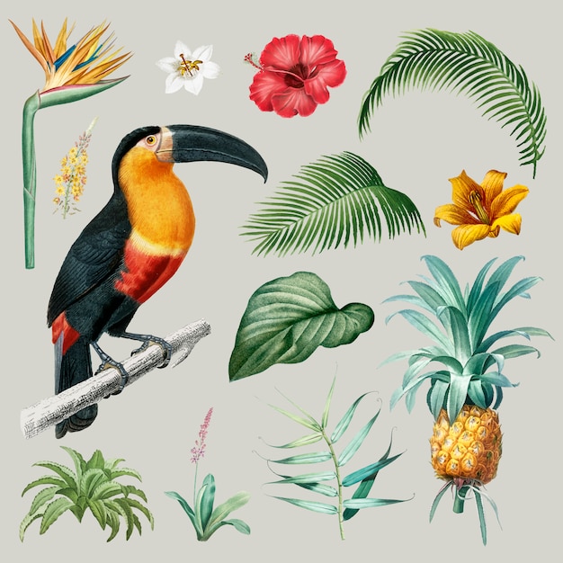 Ilustración de follaje y pájaro