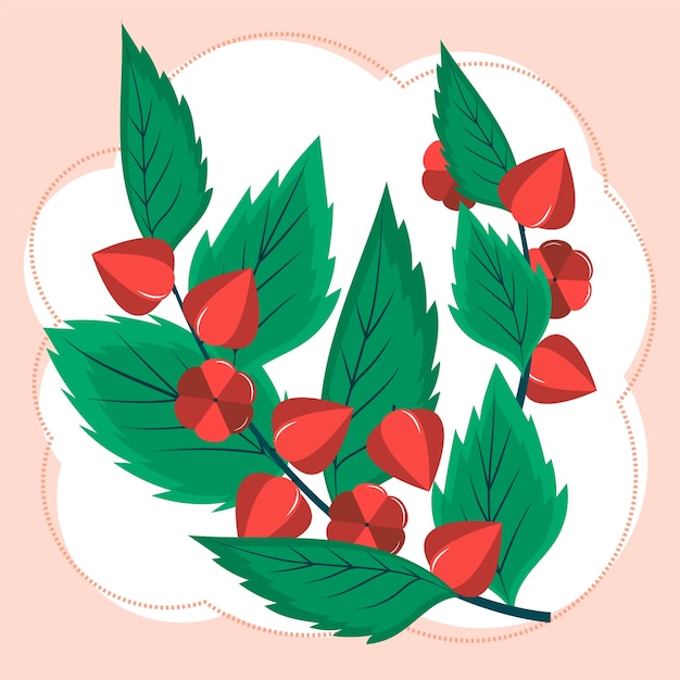 Ilustración de fruta de guaraná dibujada a mano
