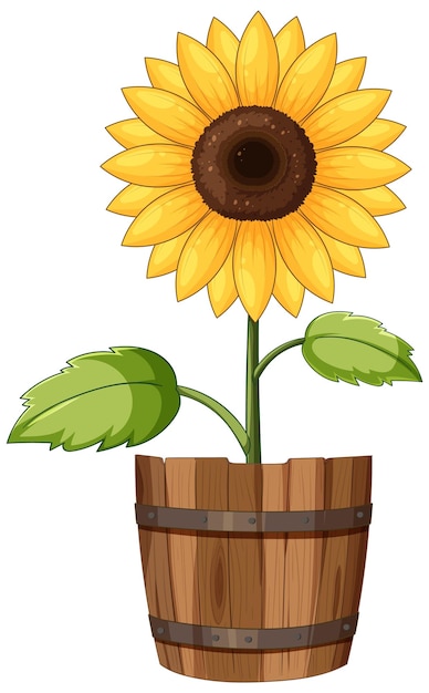 Ilustración de girasol en una olla de madera