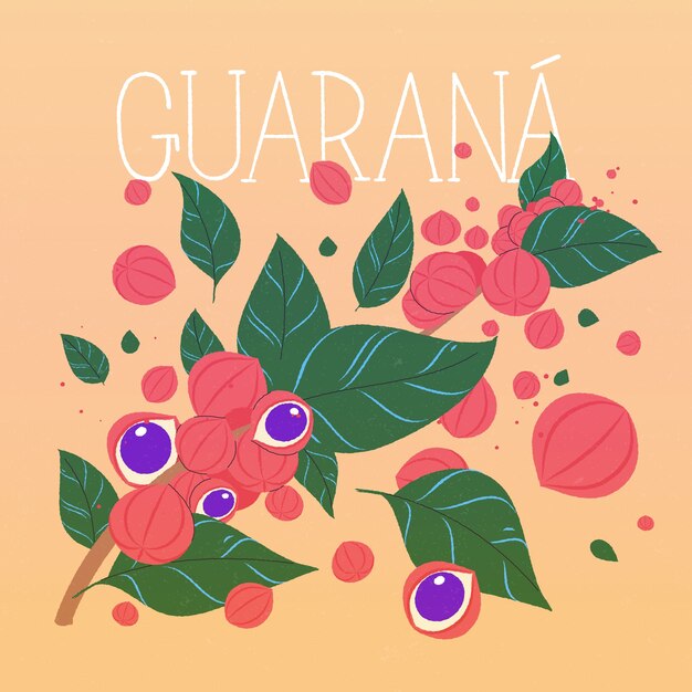 Ilustración de guaraná dibujado a mano