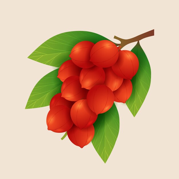 Ilustración de guaraná sabroso degradado