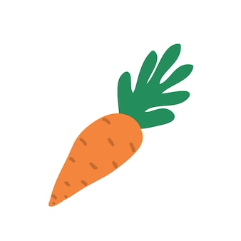 Ilustración de handdraw de elemento de vector de estilo de doodle de zanahoria naranja