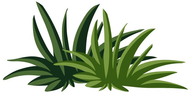 Ilustración de hierba vectorial verde exuberante