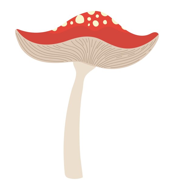 Ilustración de los hongos rojos