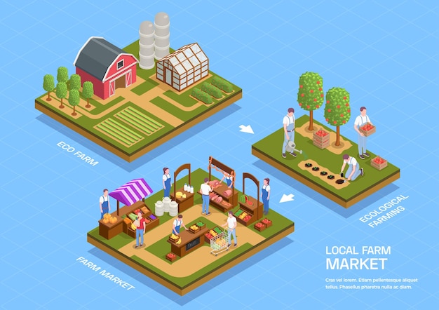 Ilustración de infografía isométrica de instalaciones de granja local