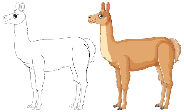 Ilustración de la llama desde el boceto hasta el color