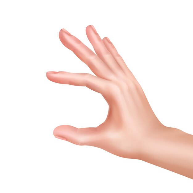 Ilustración de la mano midiendo o mostrando algo