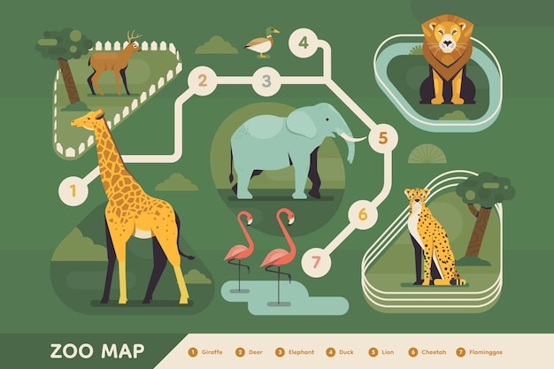 Ilustración de mapa de zoológico de diseño plano