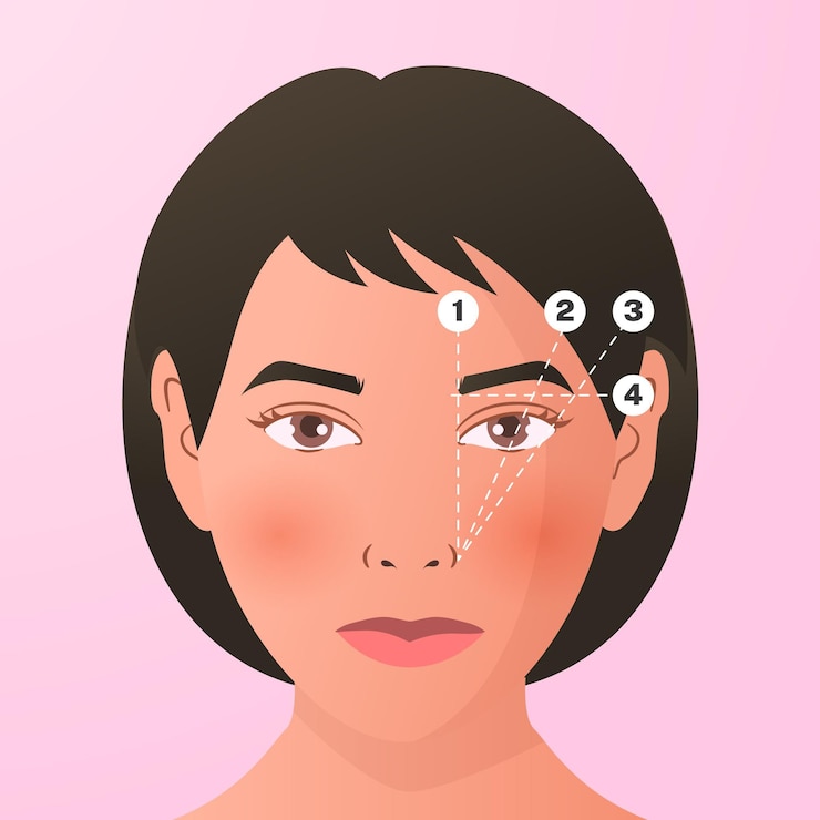 Vector gratuito ilustración de mapeo de cejas degradado