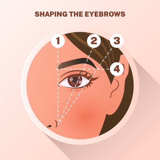 Ilustración de mapeo de cejas degradado