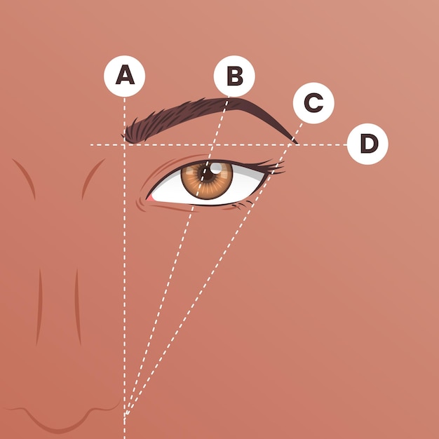 Vector gratuito ilustración de mapeo de cejas degradado