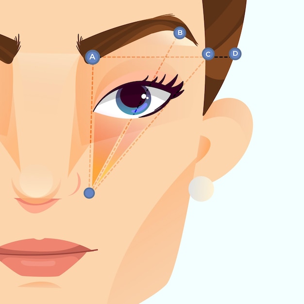 Ilustración de mapeo de cejas degradado