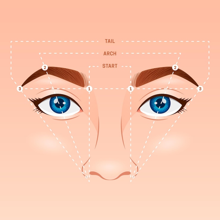 Vector gratuito ilustración de mapeo de cejas degradado
