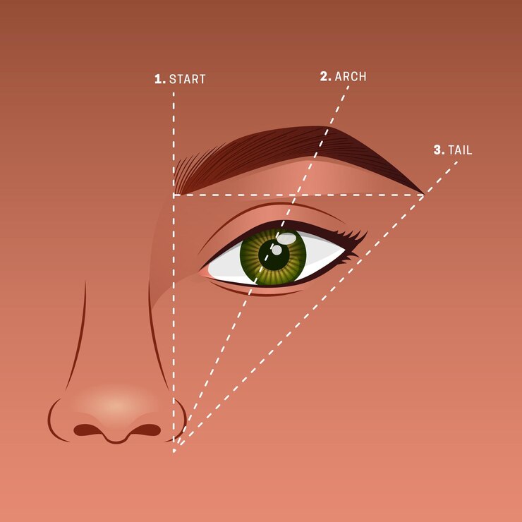 Vector gratuito ilustración de mapeo de cejas degradado