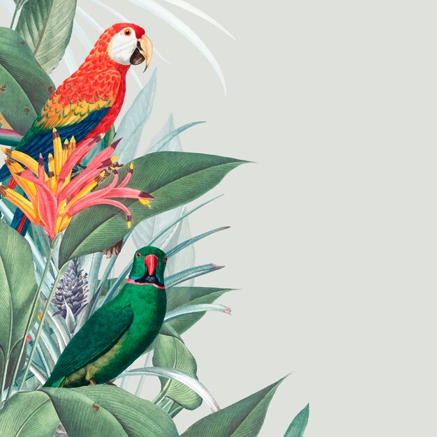 Ilustración de maqueta tropical de guacamayo