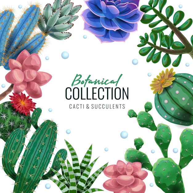 Ilustración de marco de cactus