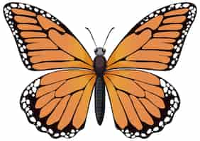 Vector gratuito ilustración de la mariposa monarca vibrante