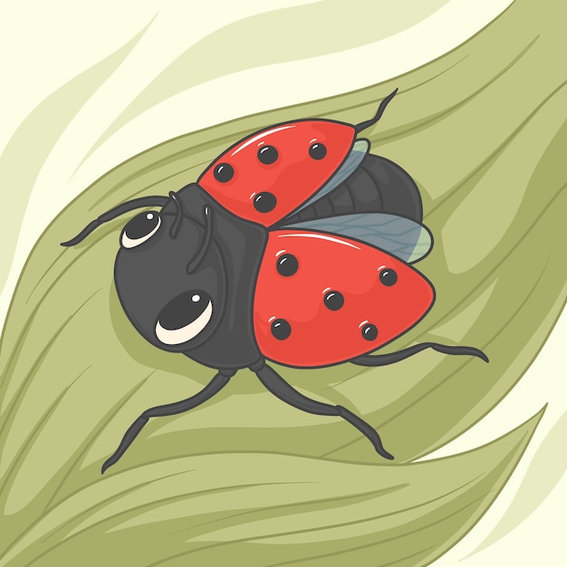 Ilustración de mariquita de dibujos animados dibujados a mano