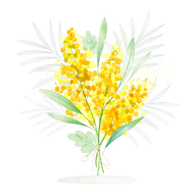 Vector gratuito ilustración de mimosa acuarela