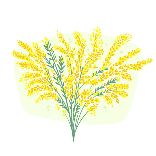 Ilustración de mimosa dibujada a mano