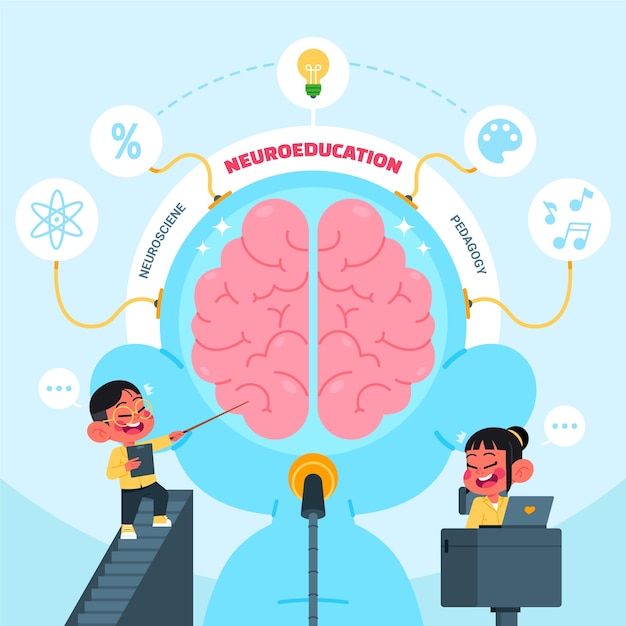 Ilustración de neuroeducación dibujada a mano