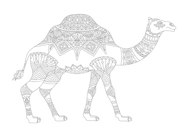 Ilustración de la página adulta de los animales