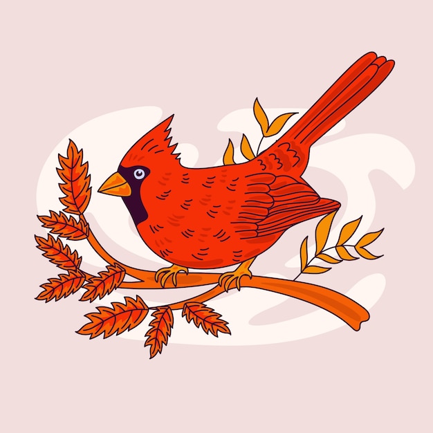 Vector gratuito ilustración de pájaro cardenal dibujado a mano