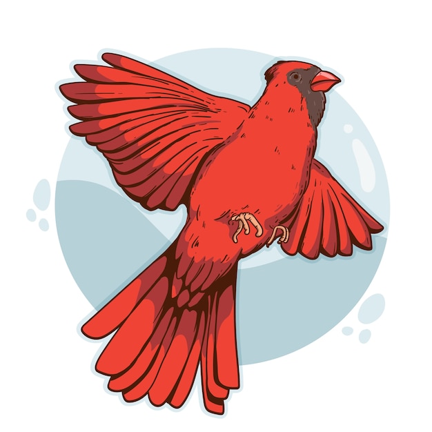 Vector gratuito ilustración de pájaro cardenal dibujado a mano