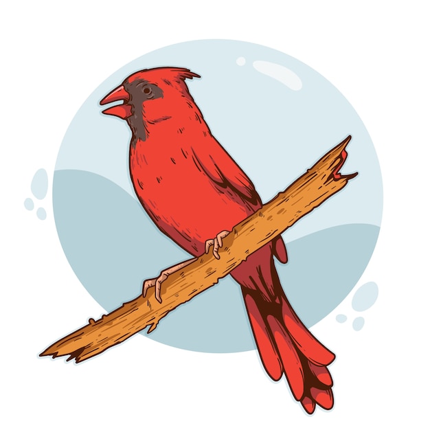 Vector gratuito ilustración de pájaro cardenal dibujado a mano