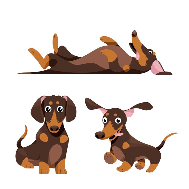 Ilustración de perro salchicha de dibujos animados dibujados a mano