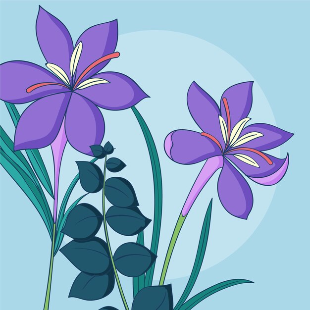 Ilustración de planta de azafrán dibujada a mano