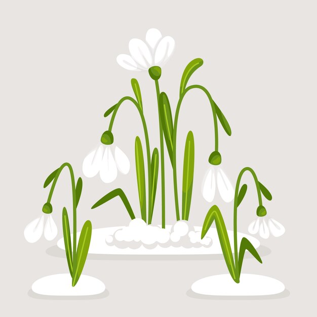 Ilustración de planta de campanilla blanca dibujada a mano