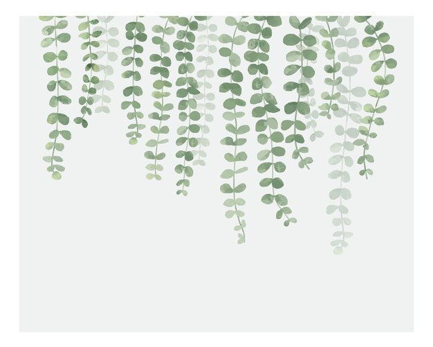 Ilustración de planta colgante aislada sobre fondo blanco