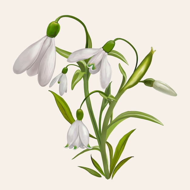 Ilustración de planta de flor hermosa campanilla de invierno