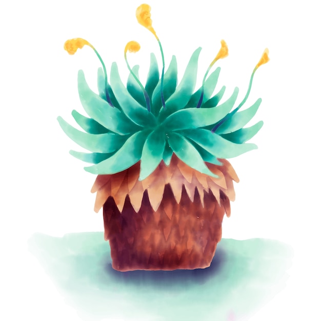 Vector gratuito ilustración de planta de frailejón acuarela