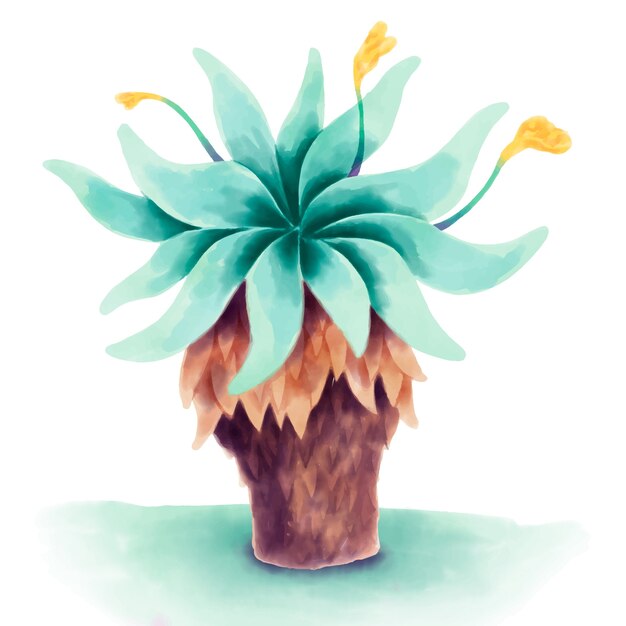 Ilustración de planta de frailejón acuarela