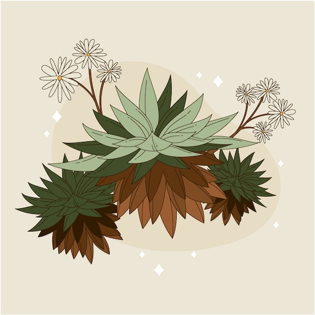 Vector gratuito ilustración de planta frailejon dibujada a mano