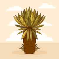 Vector gratuito ilustración de la planta de frailejón