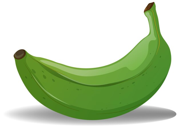 Ilustración de la planta verde