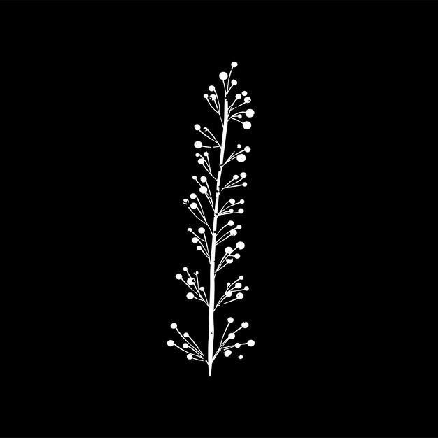 Ilustración de la planta