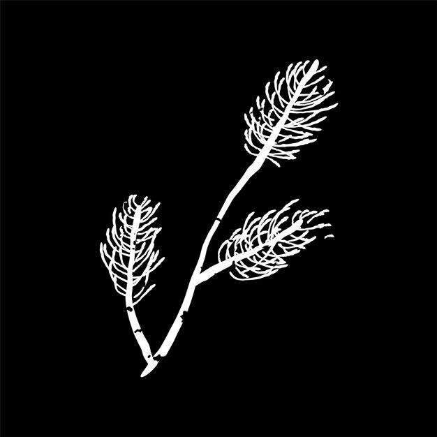 Ilustración de la planta