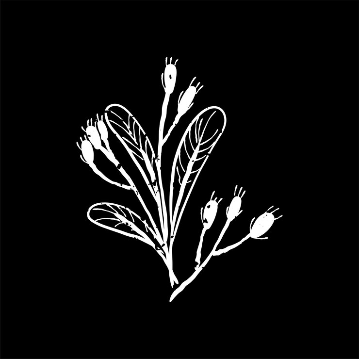 Vector gratuito ilustración de la planta