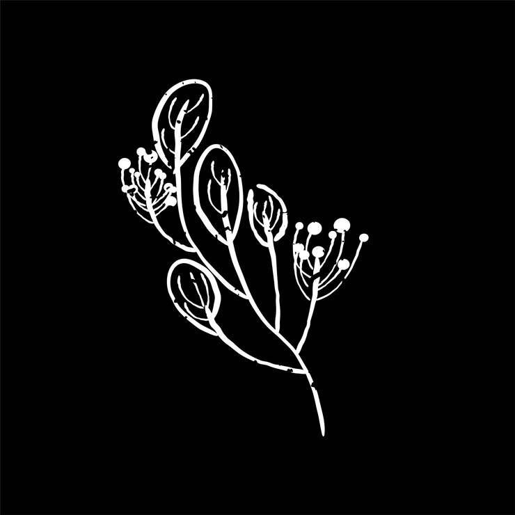 Vector gratuito ilustración de la planta