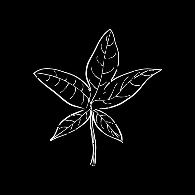 Ilustración de la planta