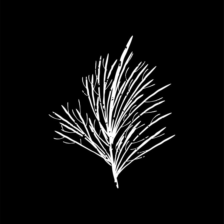 Vector gratuito ilustración de la planta
