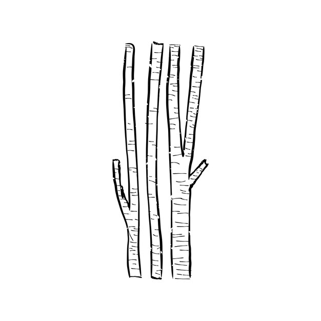 Ilustración de la planta