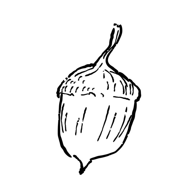 Ilustración de la planta